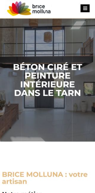 réalisations vivaweb brice molluna 320x650