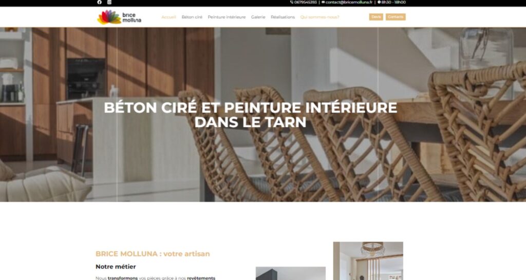 Capture du site de Brice Molluna