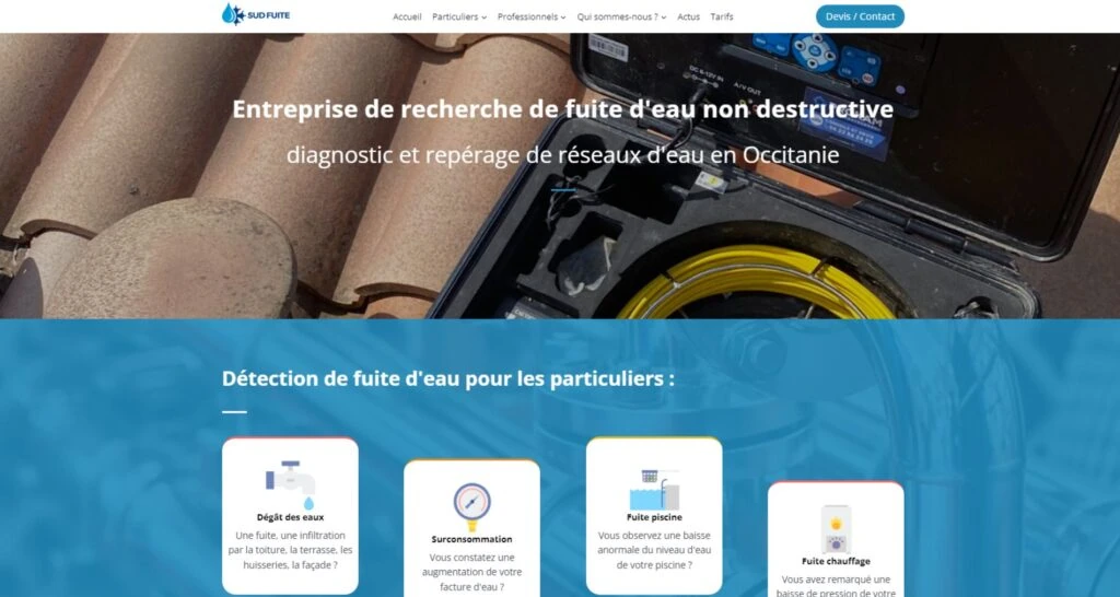 Capture du site de Sud Fuite