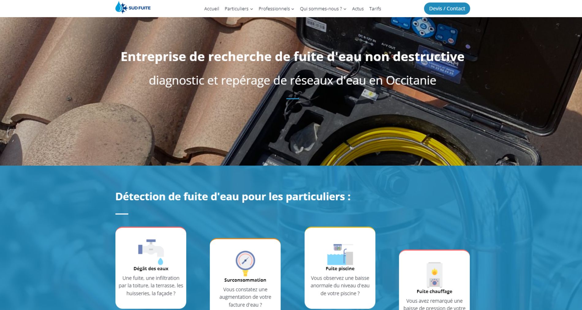 réalisations vivaweb sud fuite 1900x1014