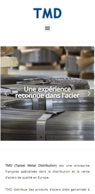 mobile en 320x650 tmd